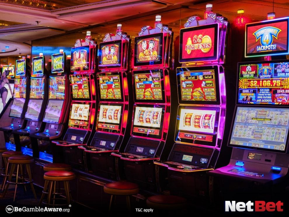 meninapg - Registro Bet Login